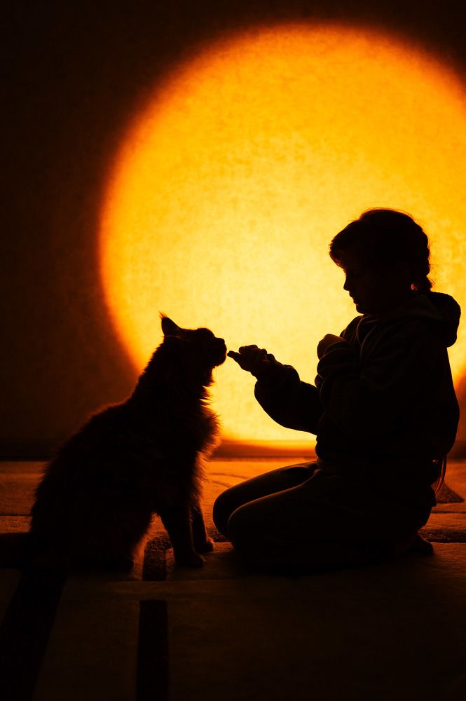 Photograph by Светлана Субботина