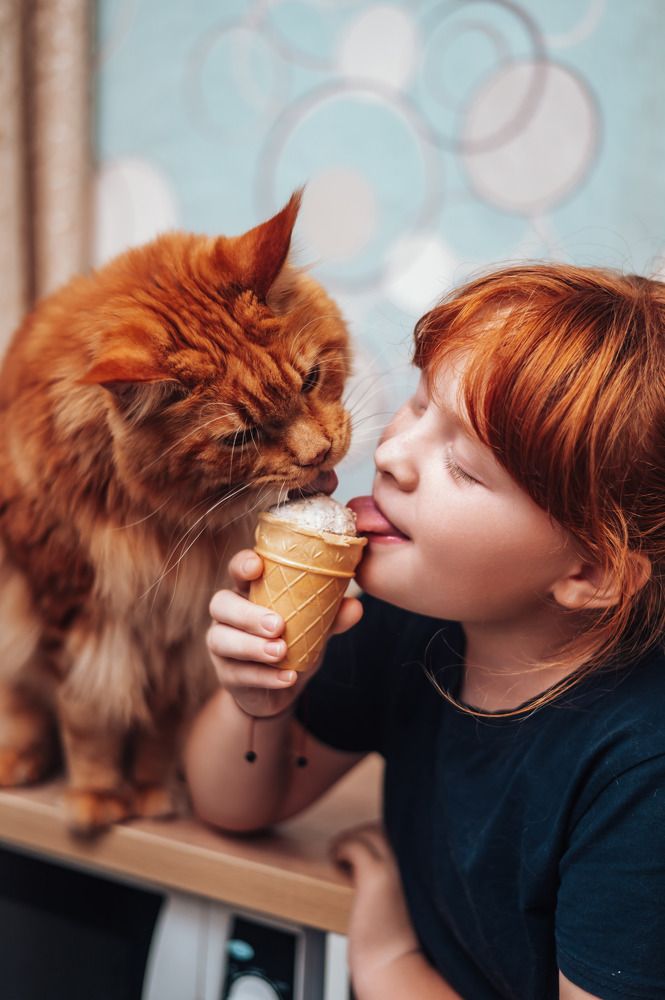 Photograph by Светлана Субботина