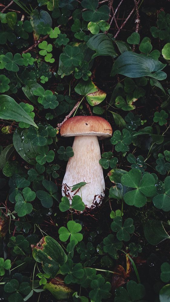 Photograph by Елизавета Силова