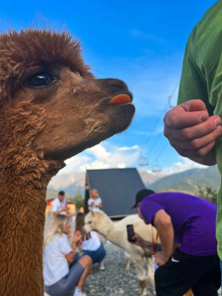 Photograph by Мария Петрова