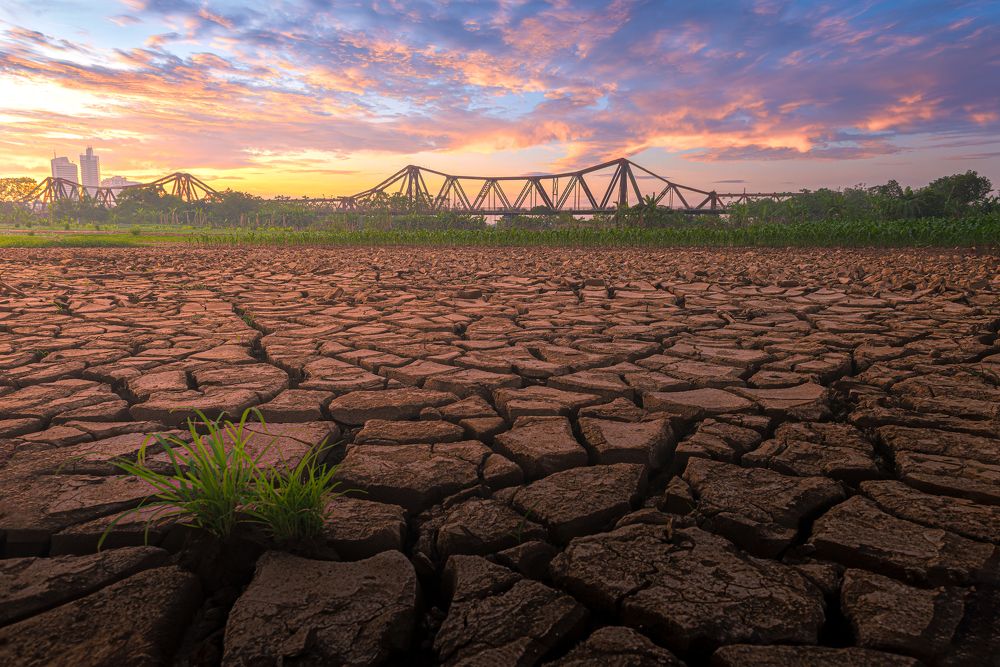 Photograph by Giang Nguyen