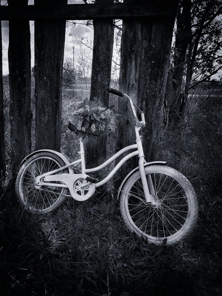 Photograph by Алёна Кибичеева