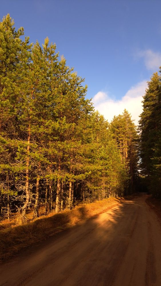 Photograph by Елизавета Силова