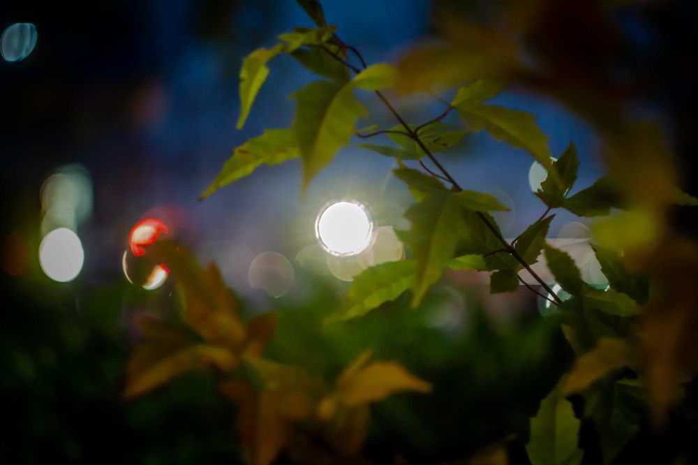 Photograph by Наталья Веряскина