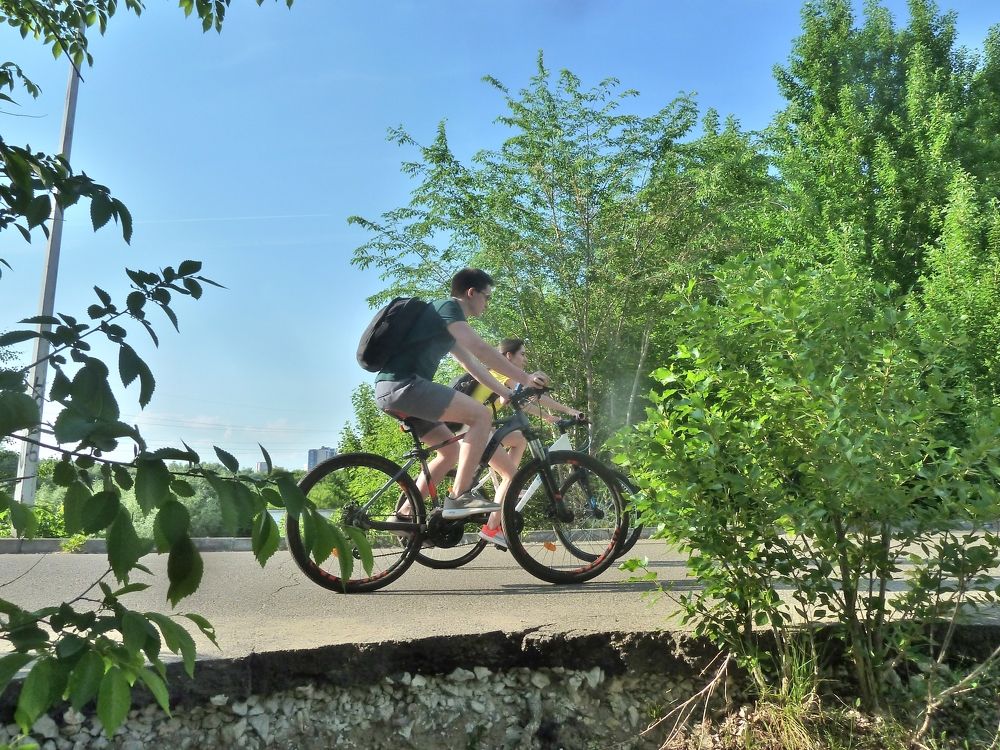 Фотография автора Клавдия Васильева