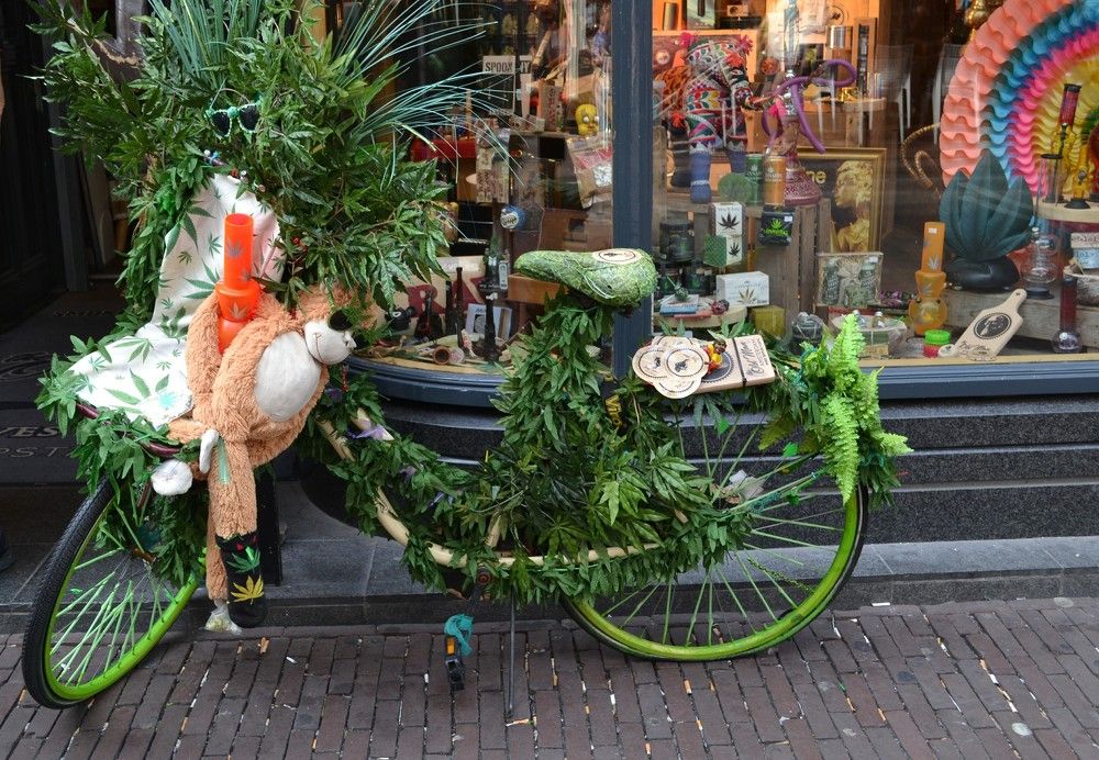 Photograph by Елена Ямнюк