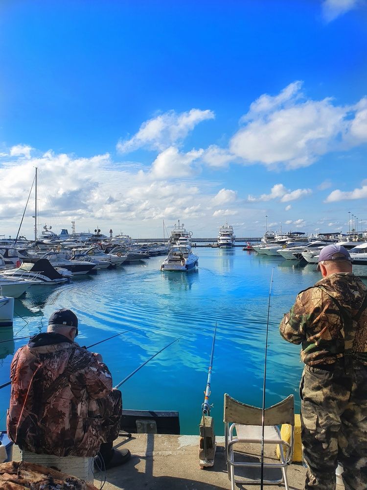 Утро в морпорту