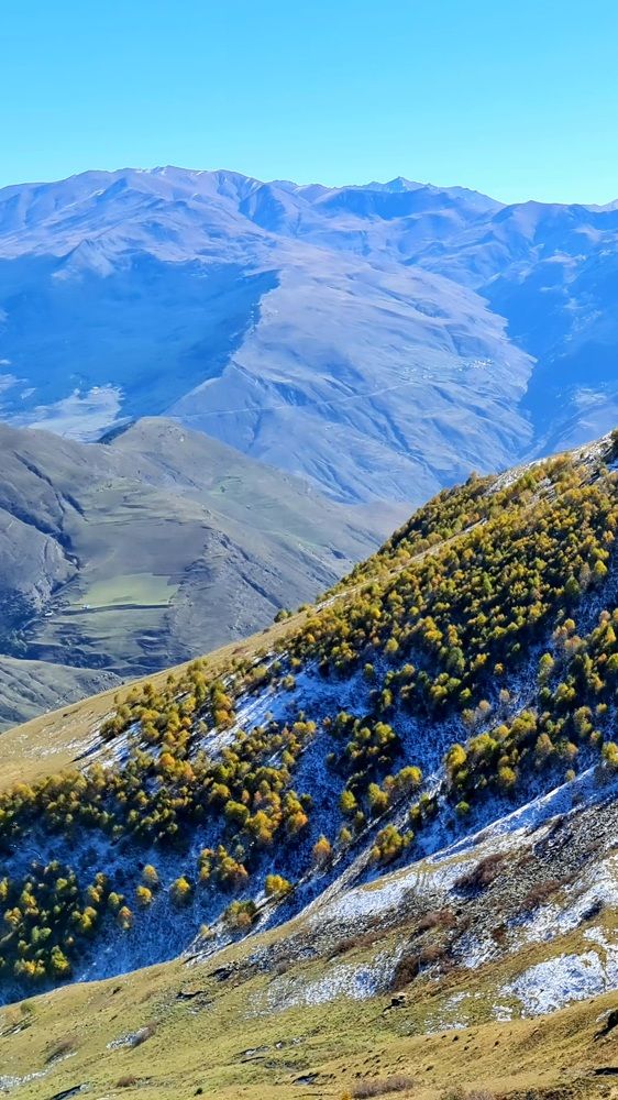 Фотография автора Наталья Владимировна