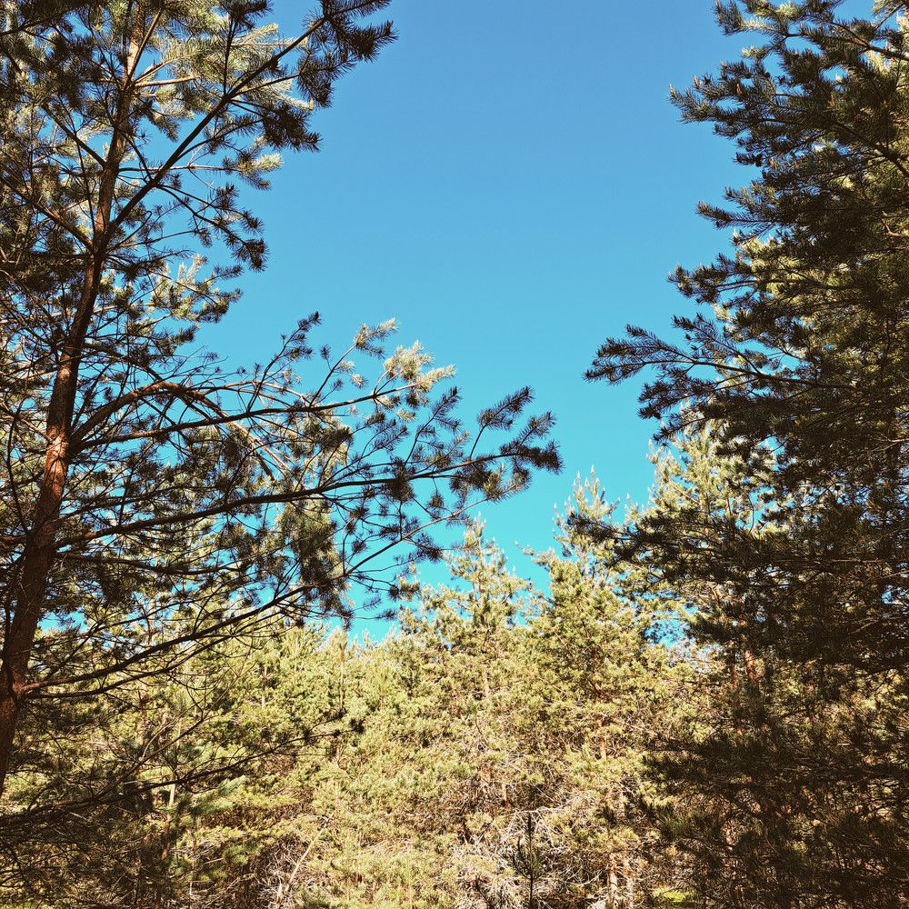 Photograph by Елизавета Силова