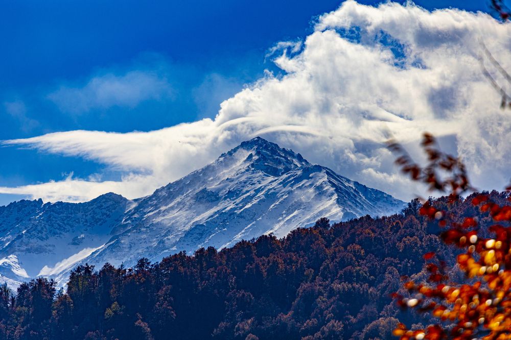 Фотография автора Mahyar Shafei