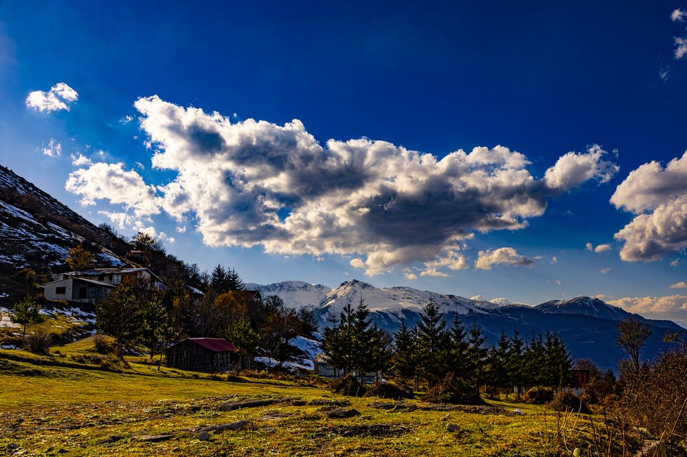 Фотография автора Mahyar Shafei