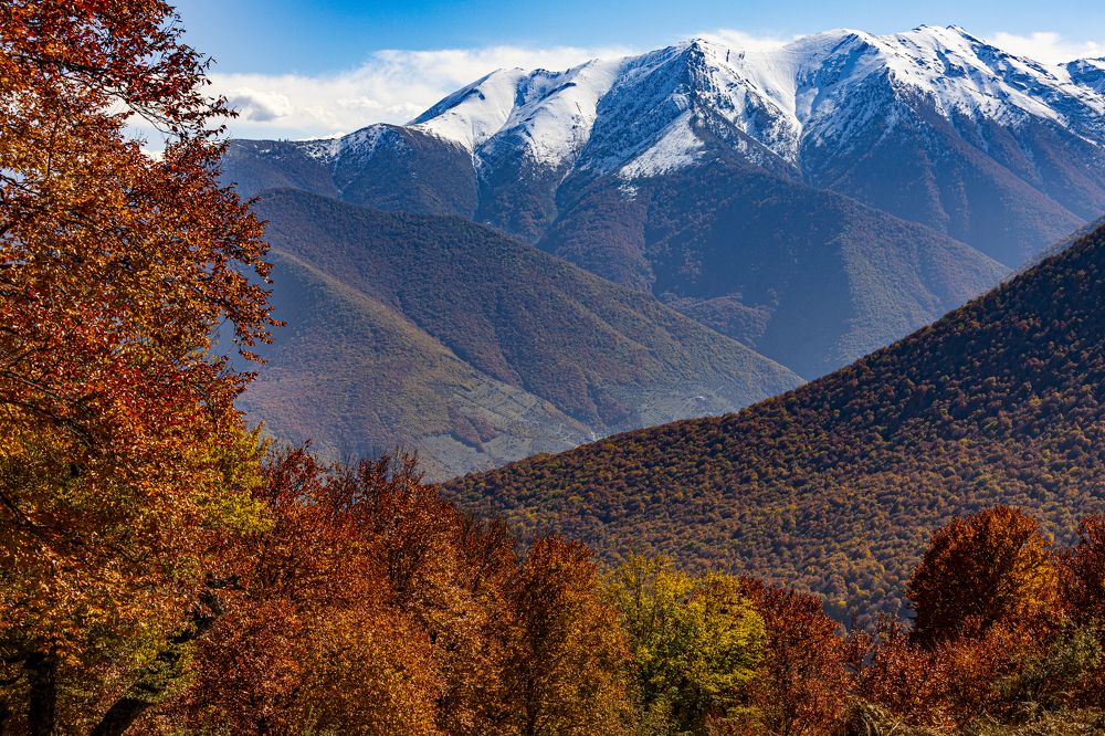 Фотография автора Mahyar Shafei