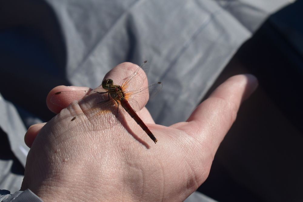 Photograph by Екатерина Чёрная