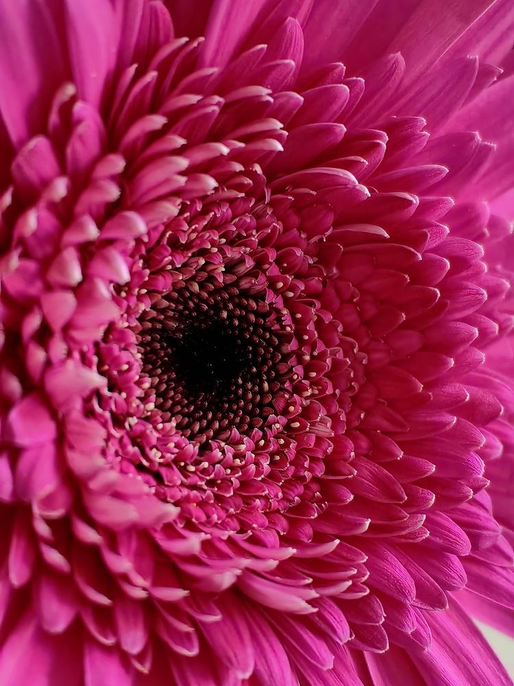 Photograph by Анастасия Доронкина