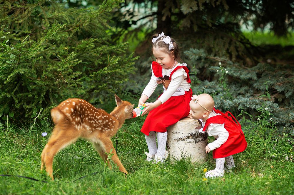 Photograph by Артур Усманов