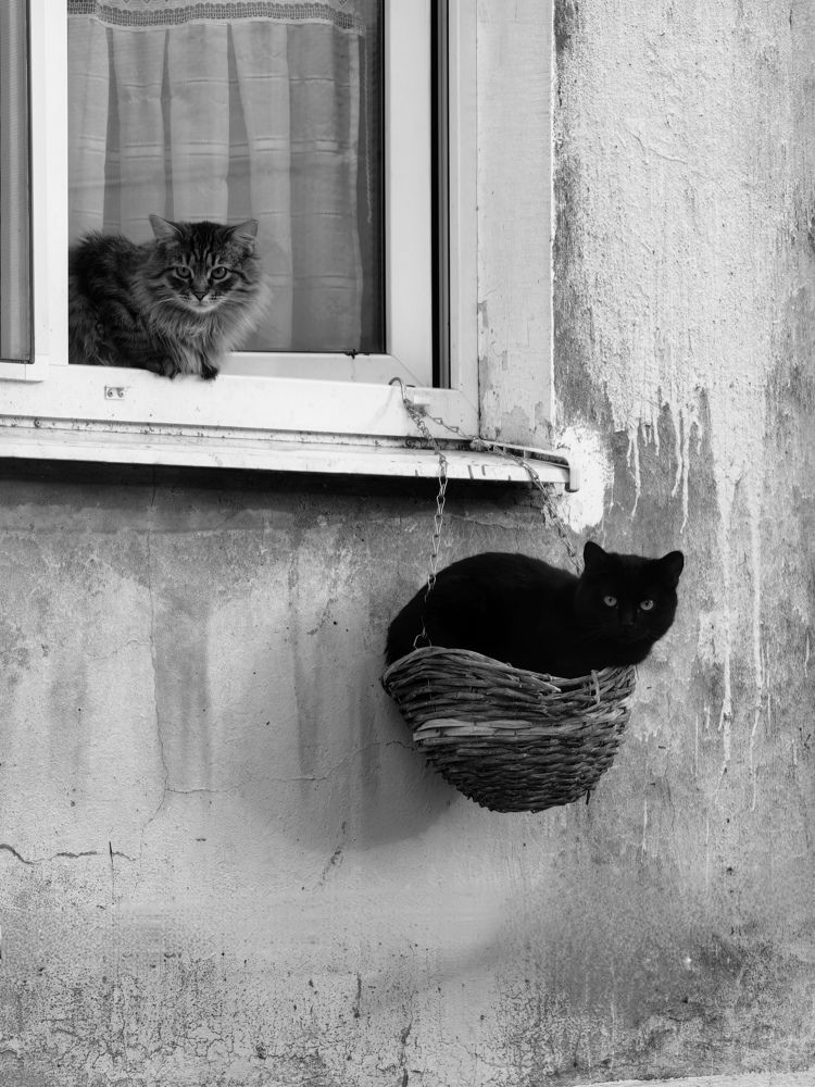 Photograph by Анастасия Доронкина