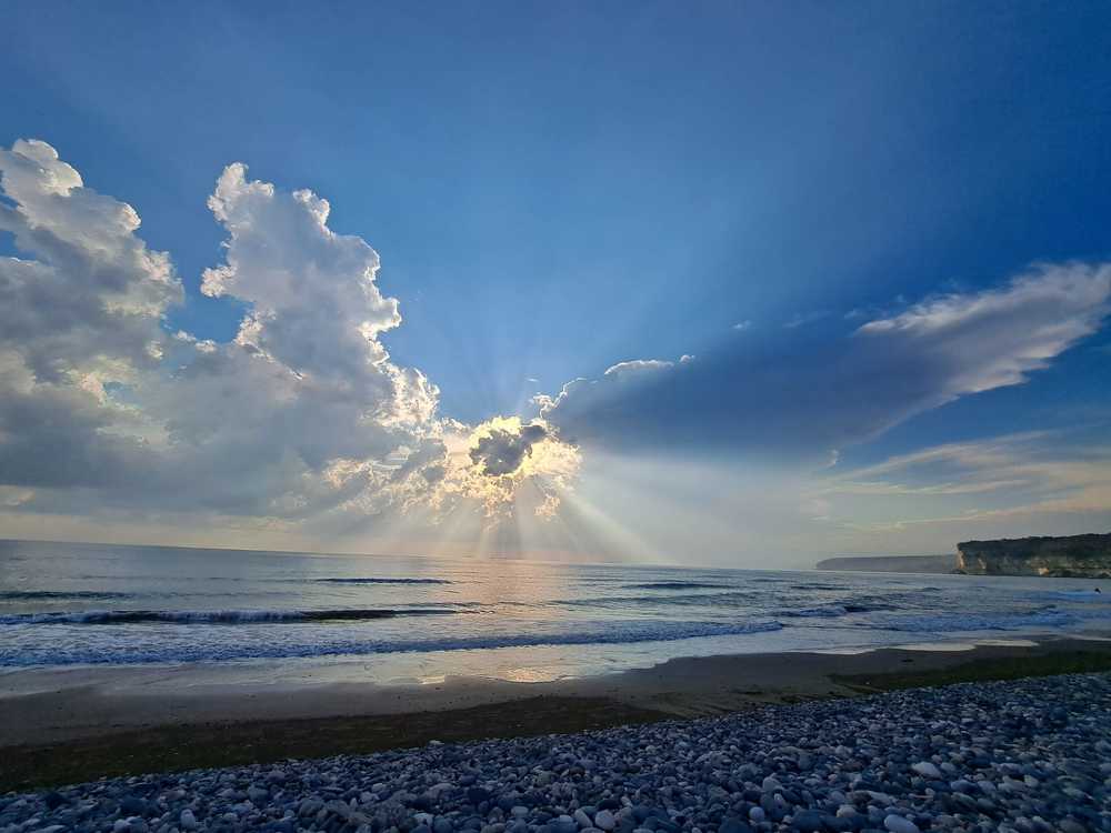 Небо тоже птица