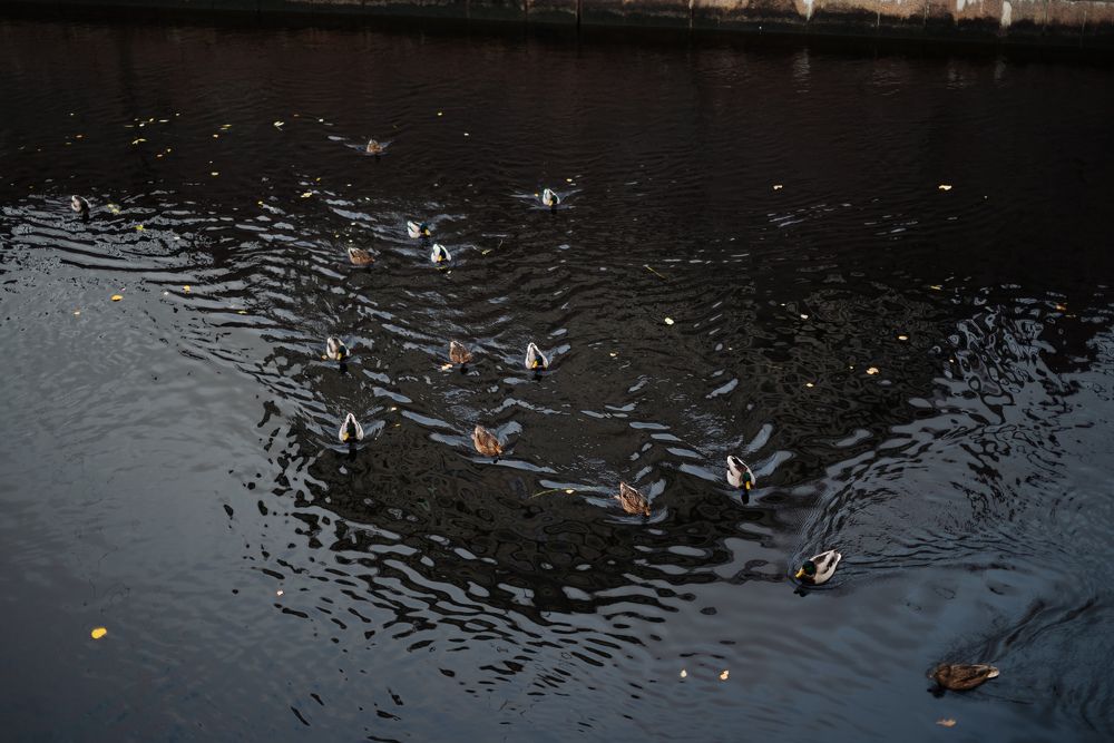 Photograph by Viktoriia Shin