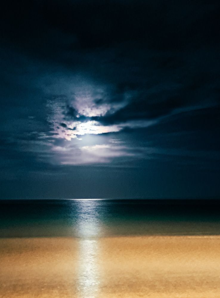 Фотография автора Елена Полякина