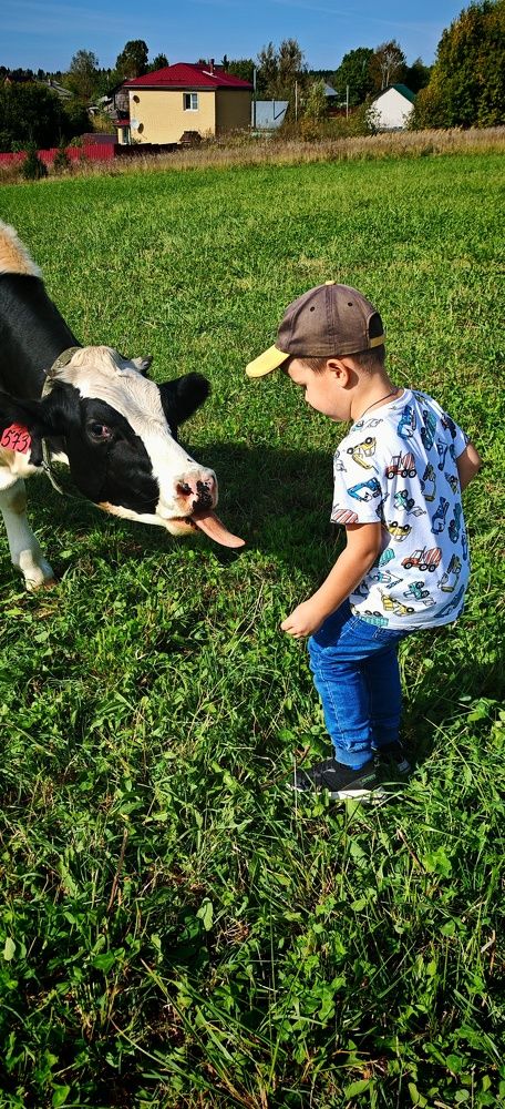 Photograph by Андрей Пучков