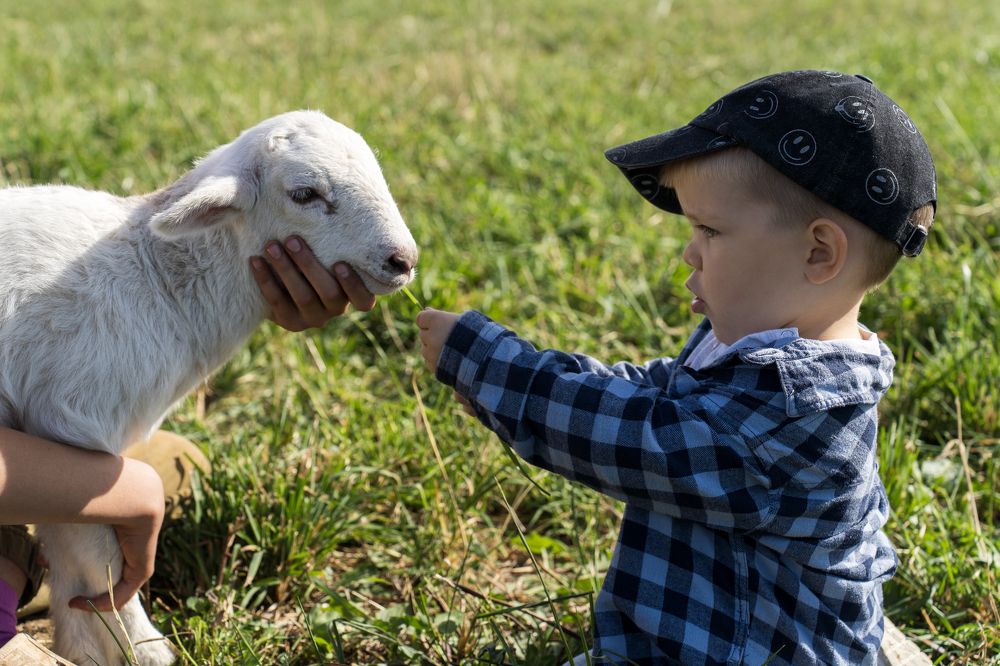 Photograph by Андрей Пучков