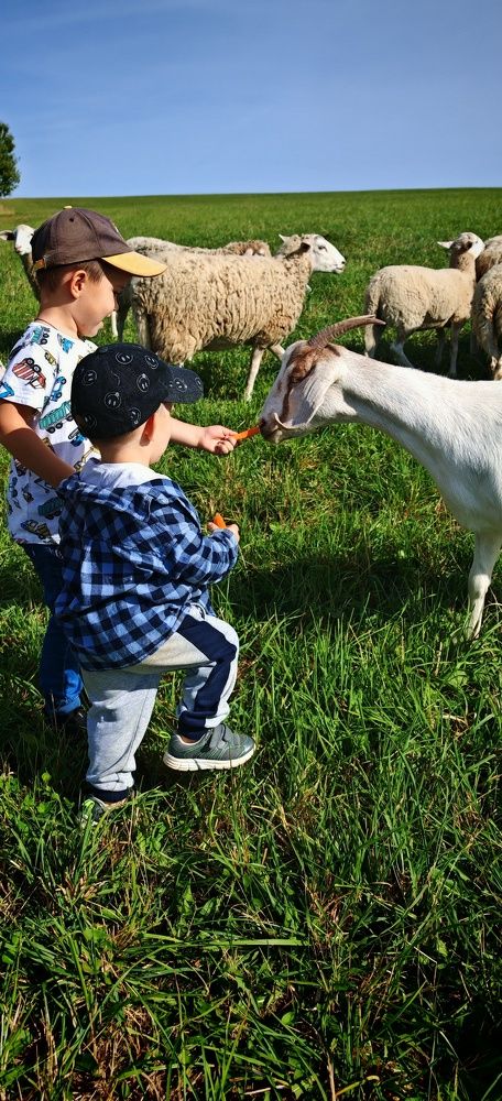 Photograph by Андрей Пучков