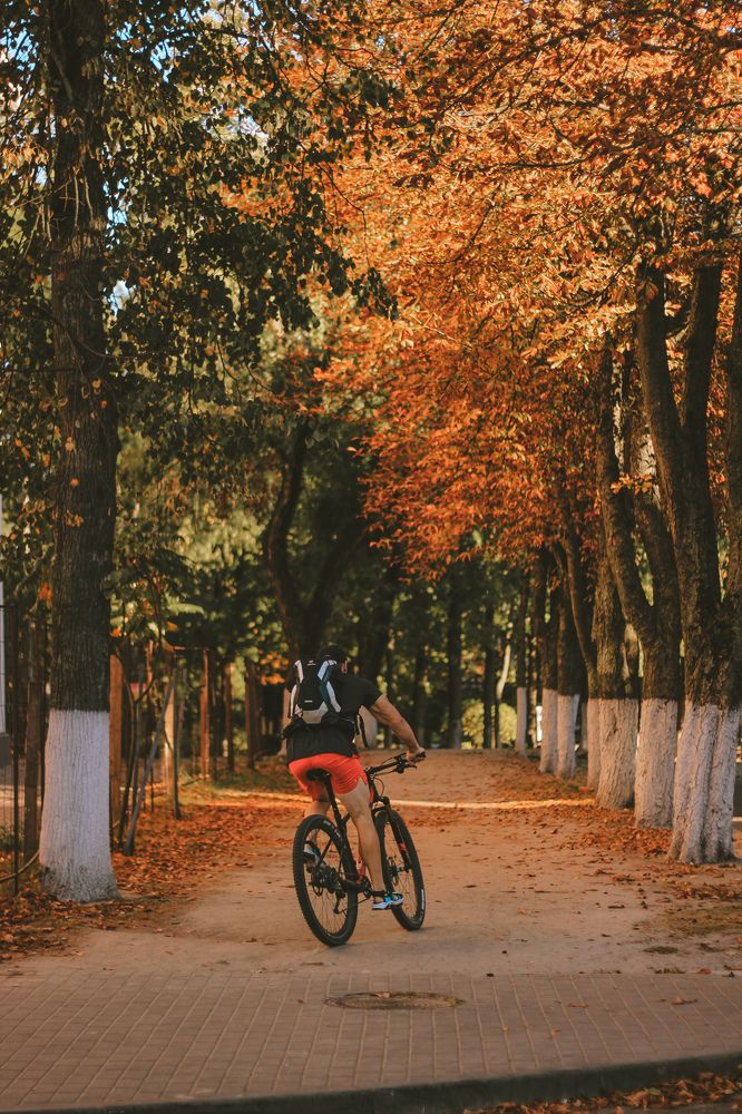 Фотография автора Анна Мисякова