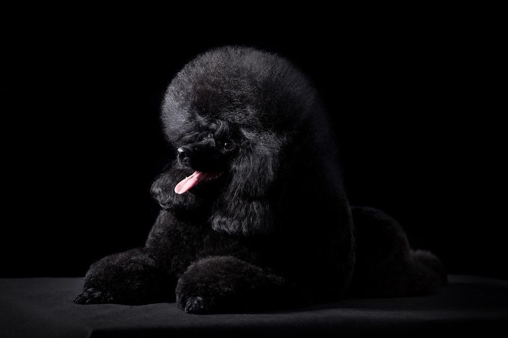 Photograph by Ольга Легенькая