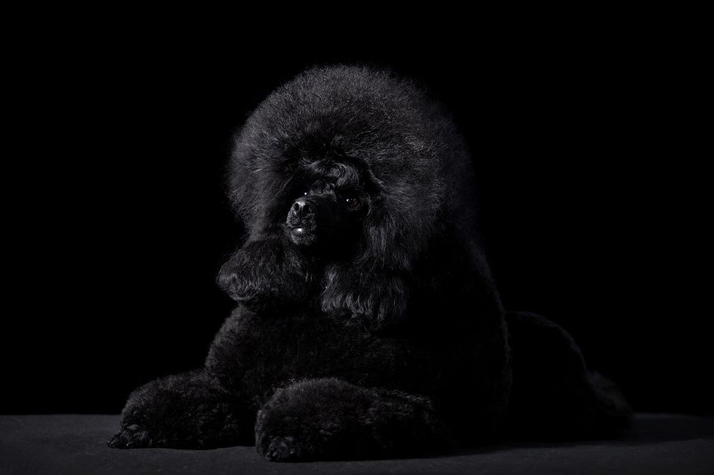 Photograph by Ольга Легенькая