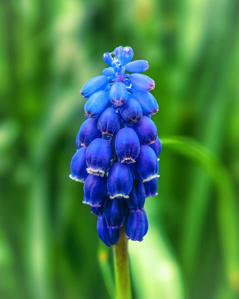 Photograph by Алексей Гуминский