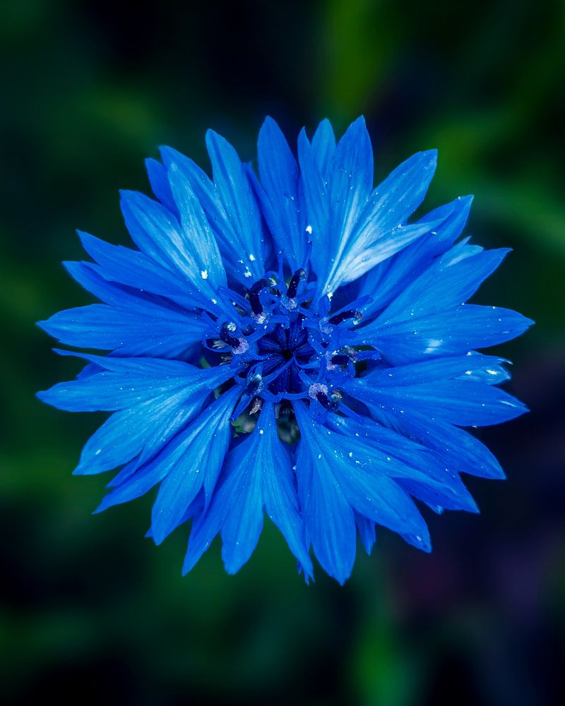 Photograph by Алексей Гуминский