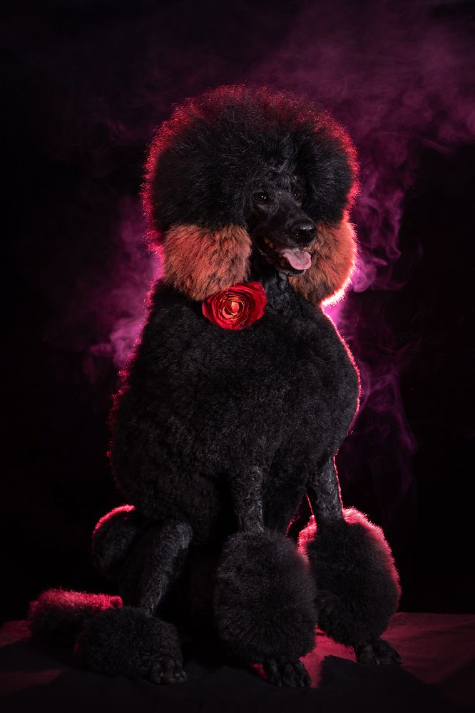 Photograph by Ольга Легенькая