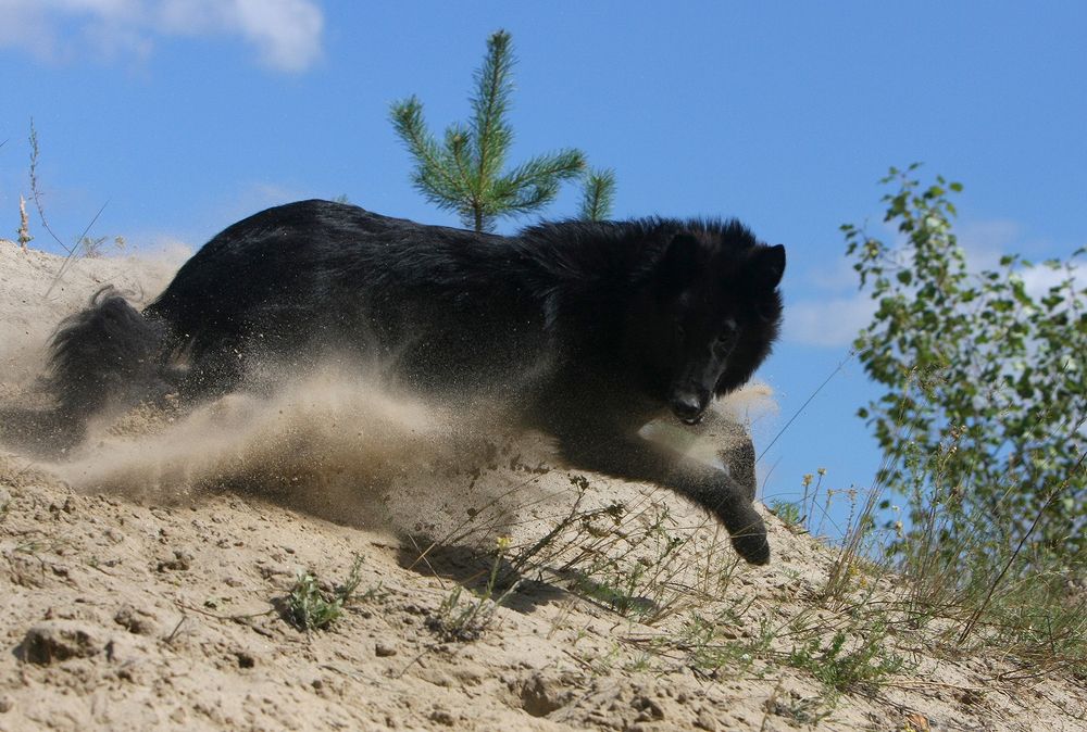 Фотография автора Надежда Лисицына