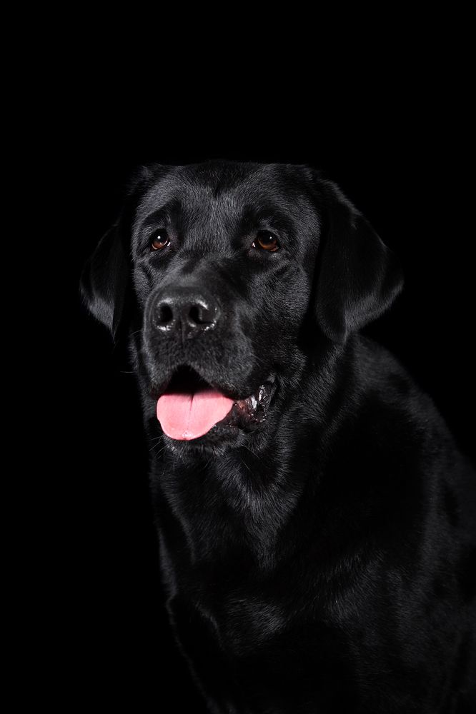 Photograph by Ольга Легенькая