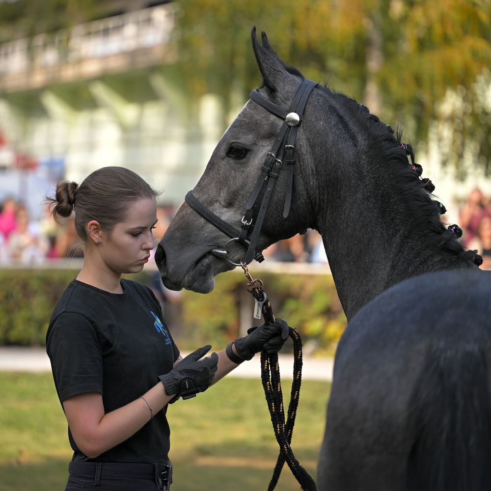 Фотография автора Владимир Пронин