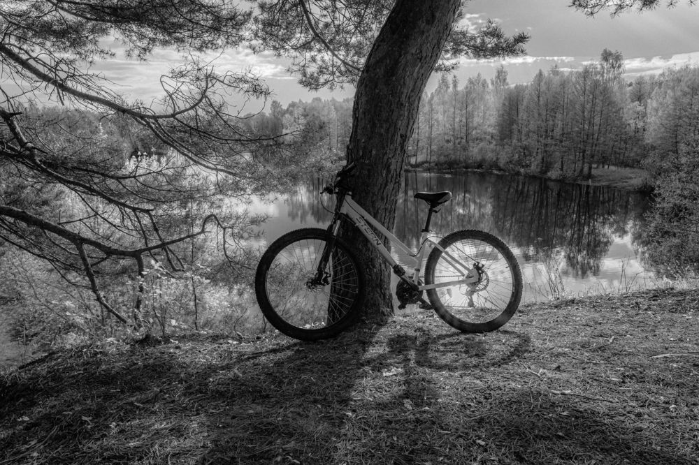 Фотография автора Ирина Гриценко