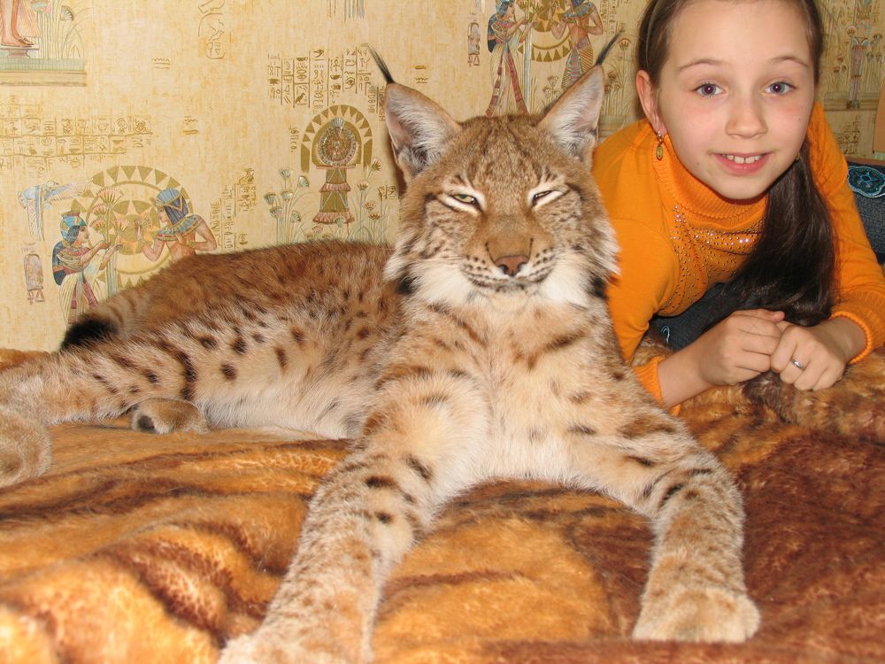 Photo #11329235