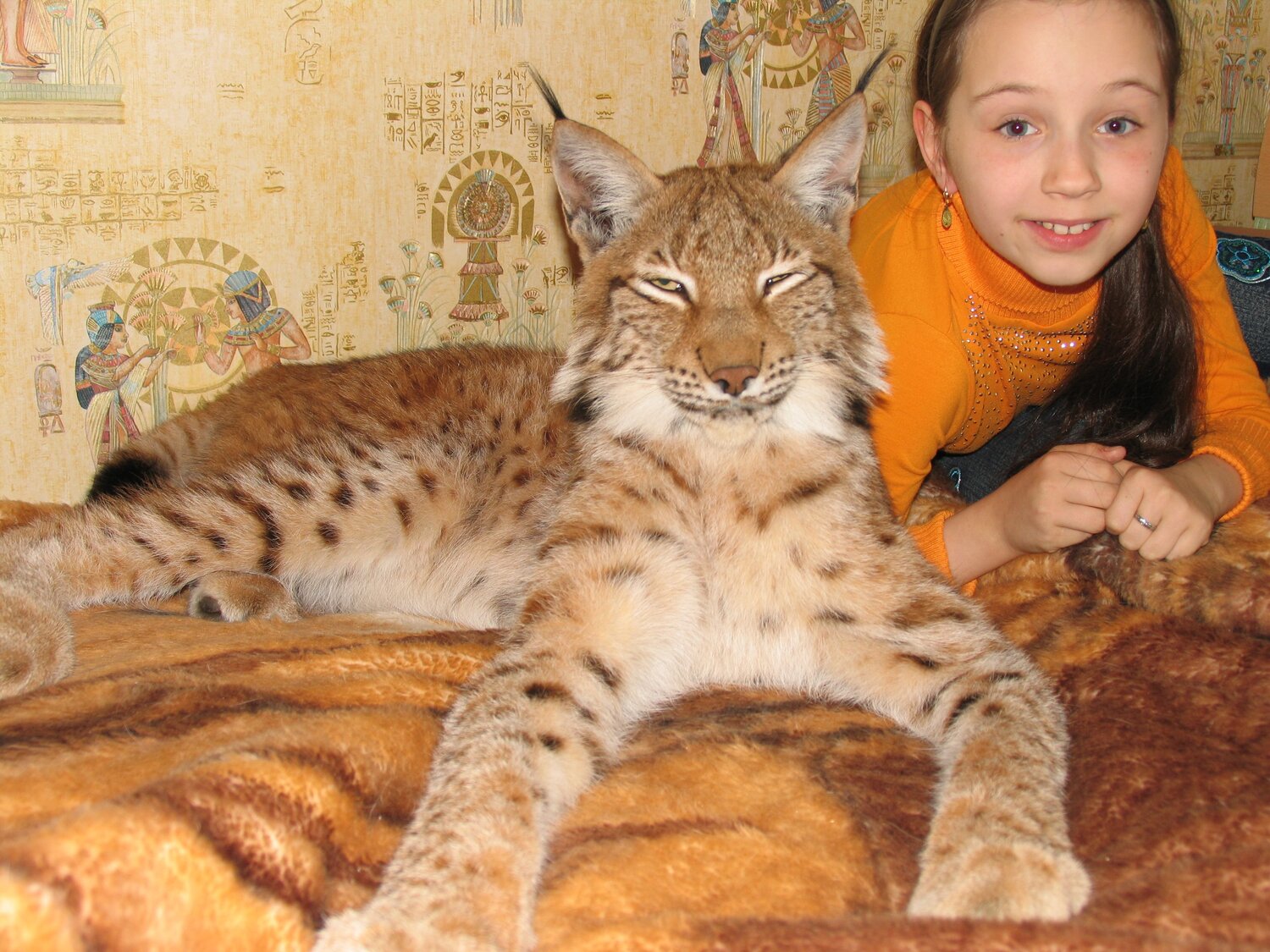 Photo #11329235
