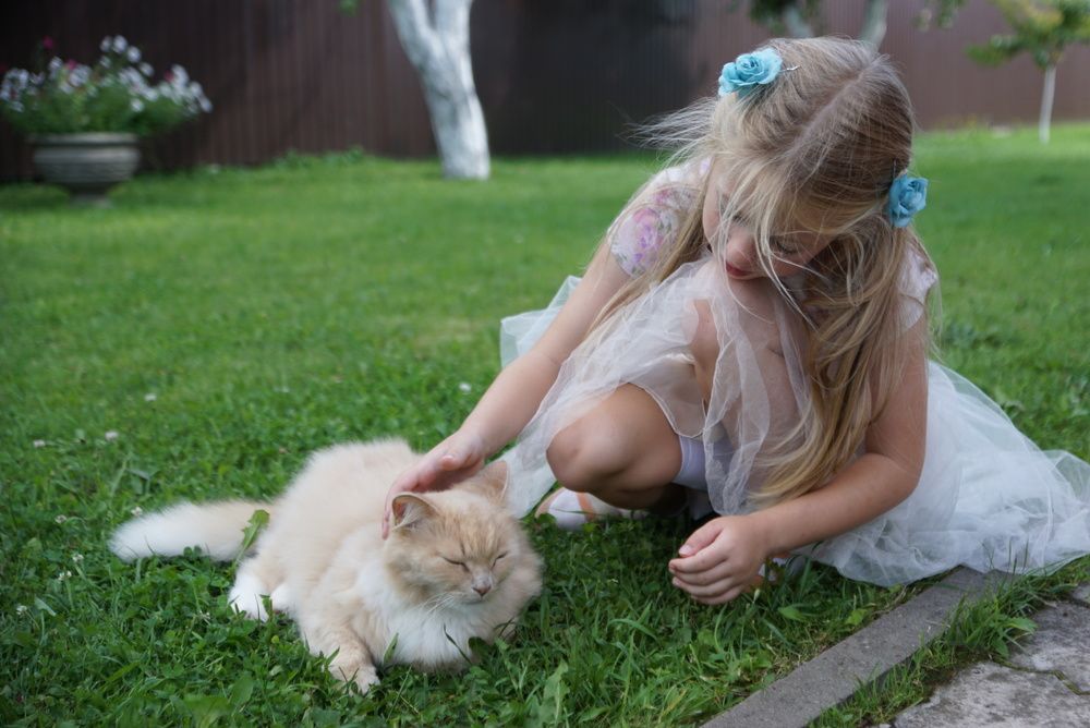 Photograph by Maximova Julia
