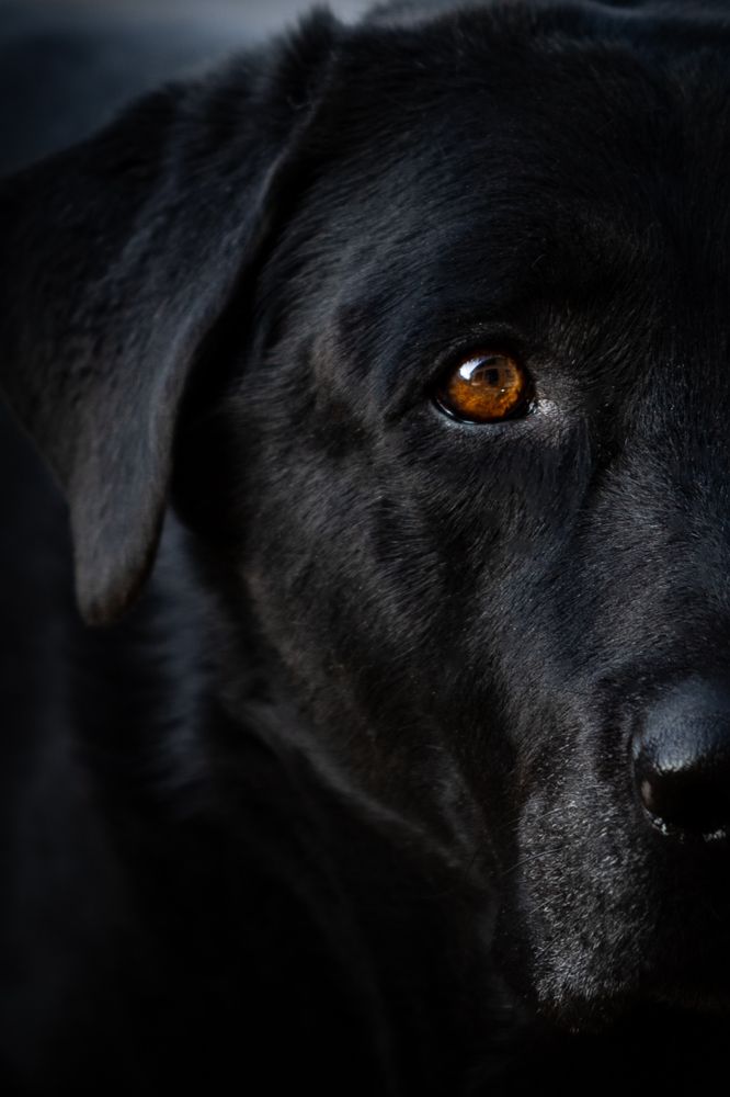 Photograph by Ksenia Sannikova