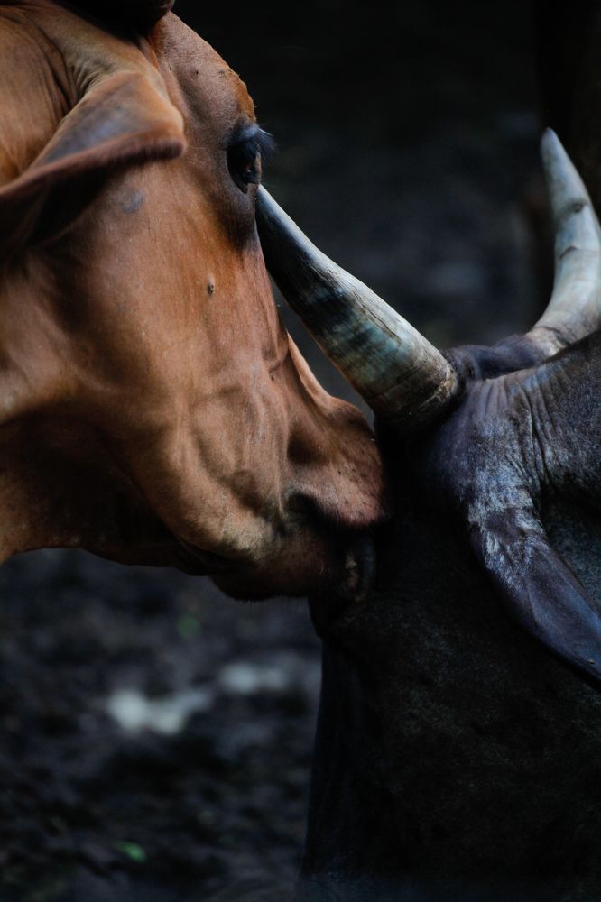 Photograph by Евфросиния Капустина