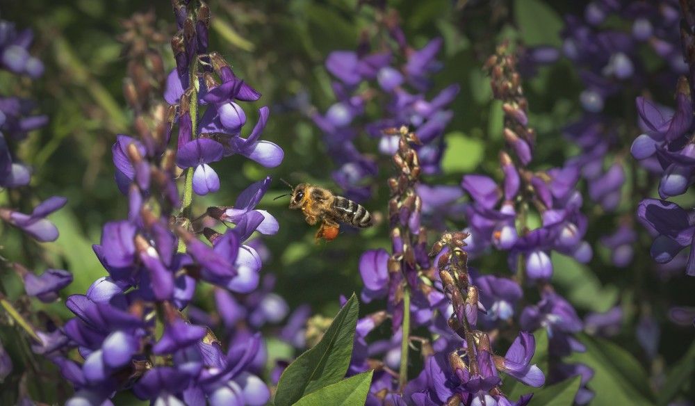 Photograph by Svetlana Gubanova