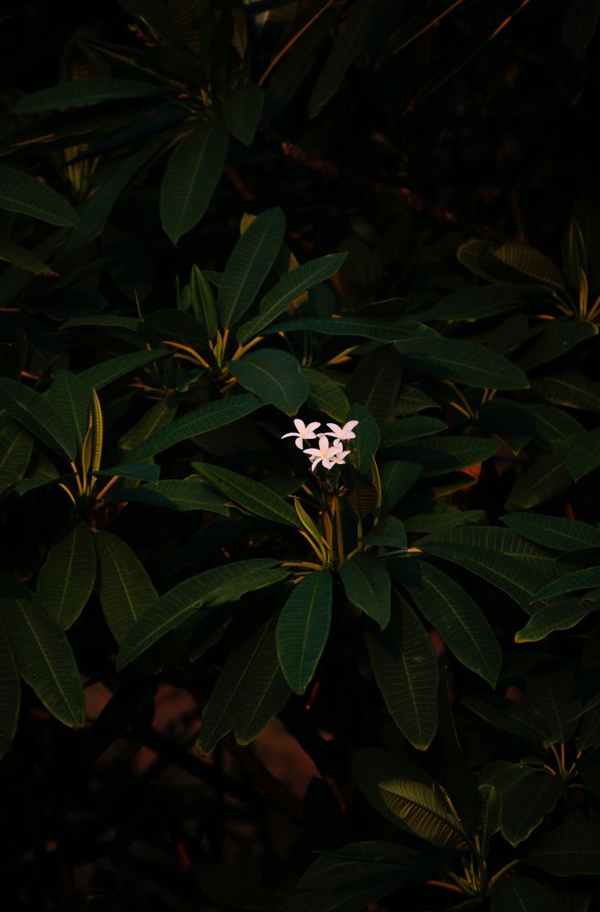 Photograph by Евфросиния Капустина