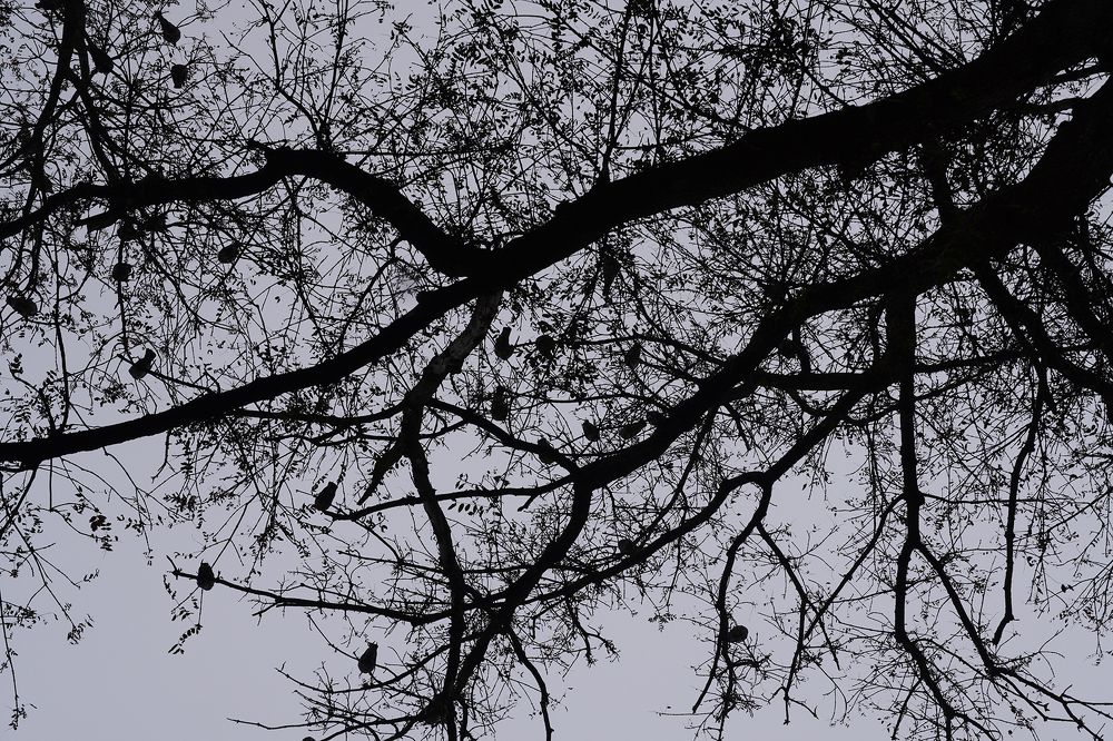 Фотография автора Вадим Коваленко