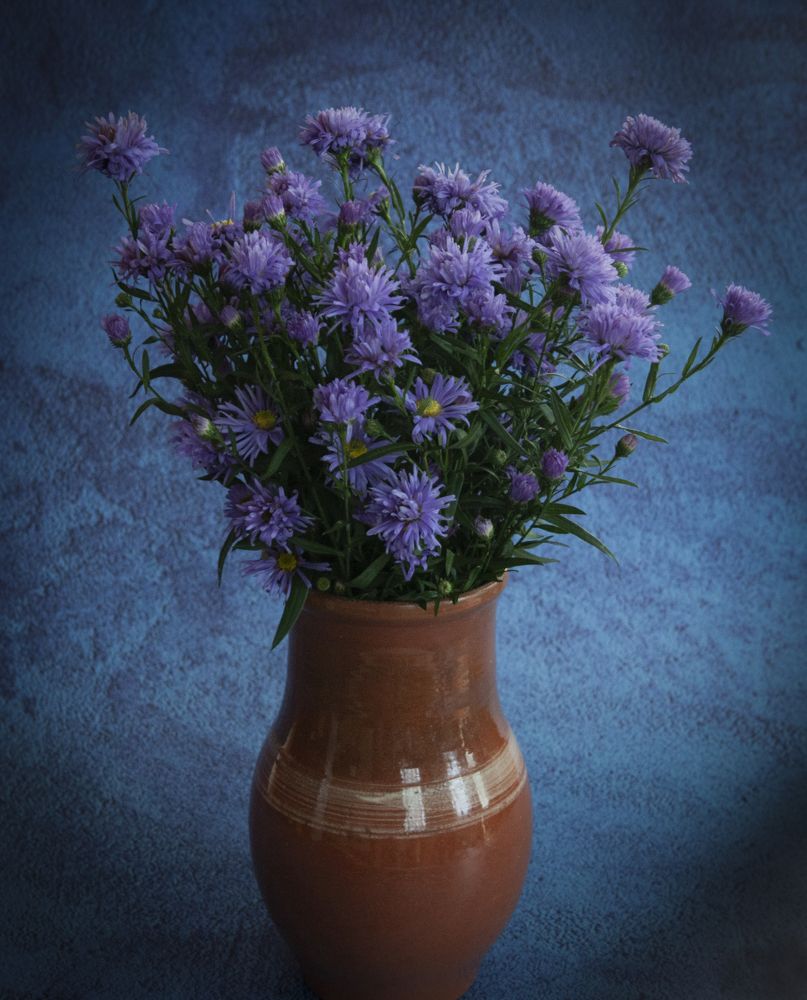 Photograph by Вячеслав