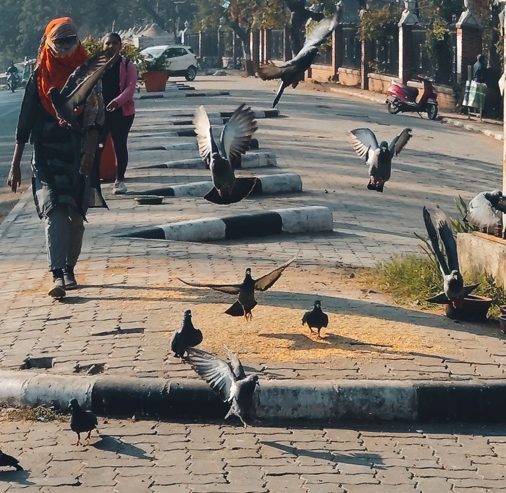 Photograph by Patel Herin