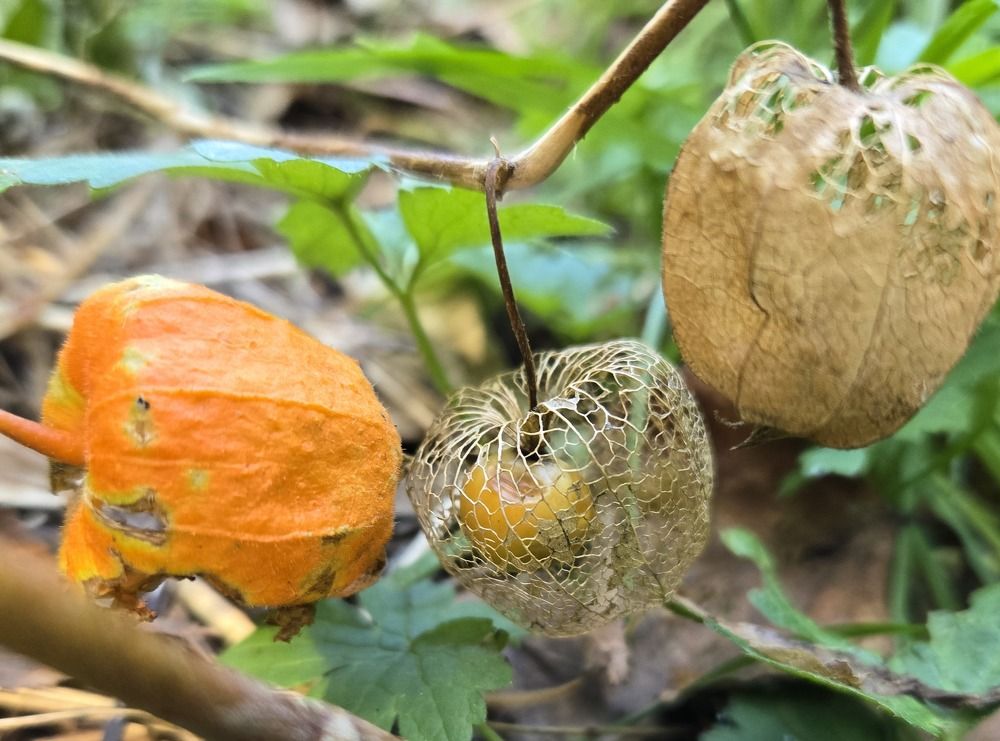 Photograph by Жанна Регор