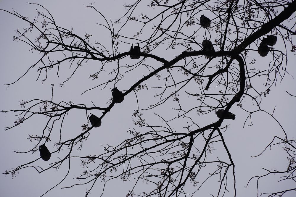 Фотография автора Вадим Коваленко