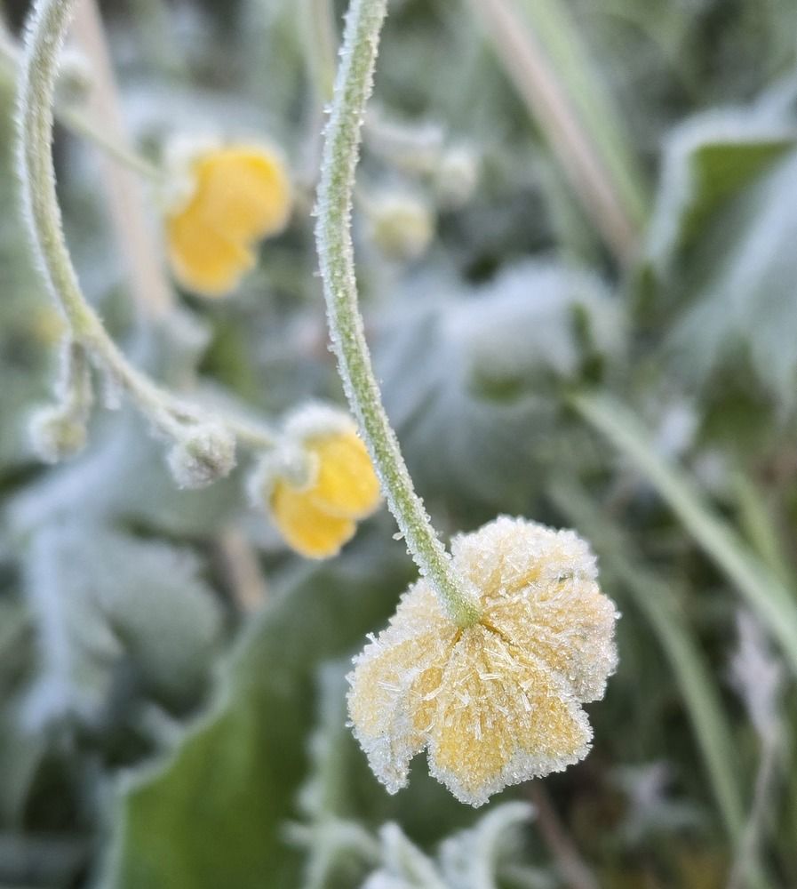 Photograph by Жанна Регор