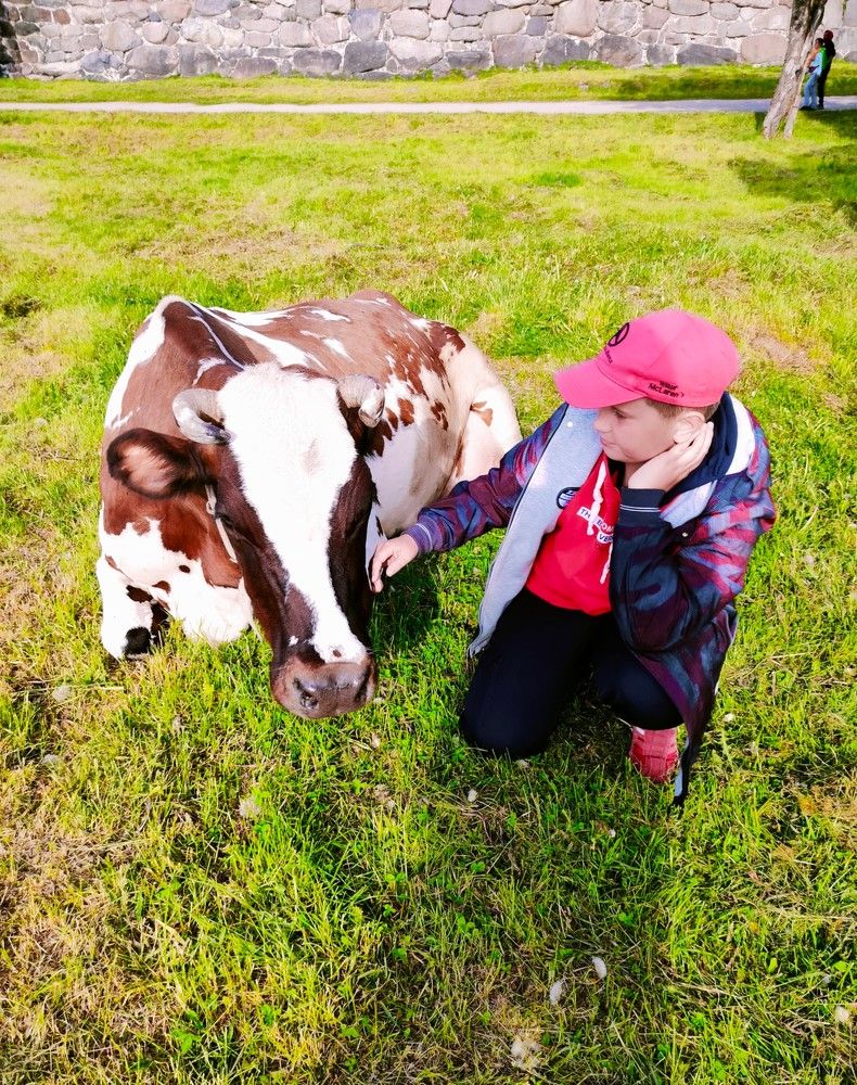 Photograph by Людмила Ваганова